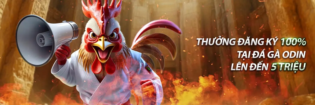 Nền tảng đá gà trực tiếp trên mạng hàng đầu Việt Nam