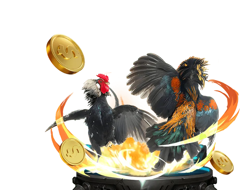 Tính năng độc quyền và đặt cược dễ dàng