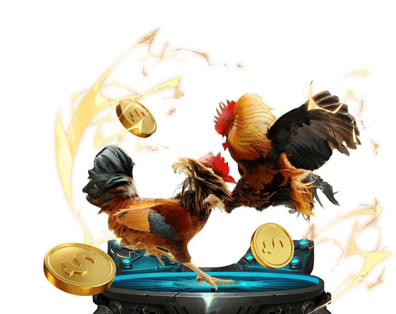 Hình ảnh các nền tảng cá cược đá gà trực tuyến hàng đầu